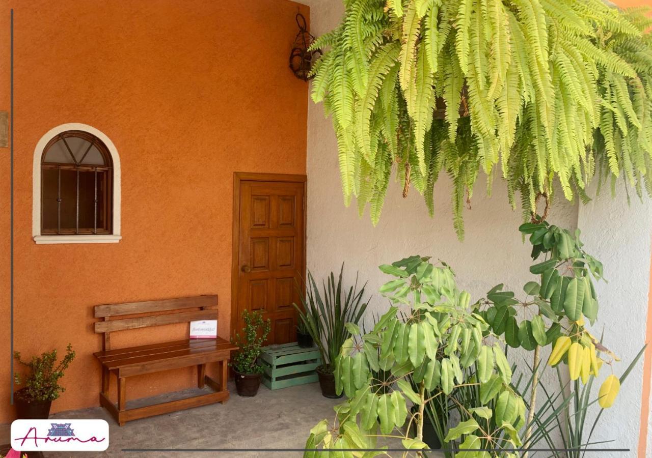 Aruma Cuernavaca Eksteriør billede